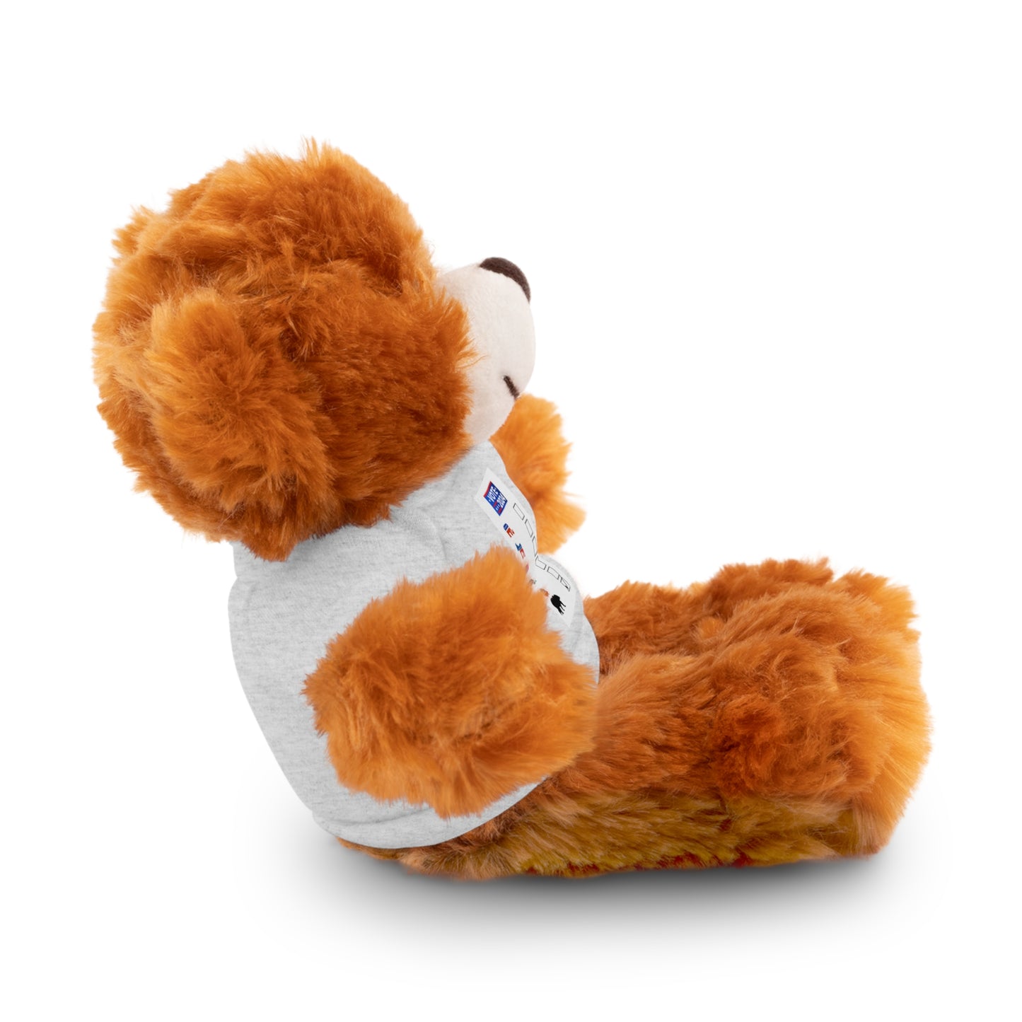 Choose the bear- US Election ballot - Stuffed Animals with Tee