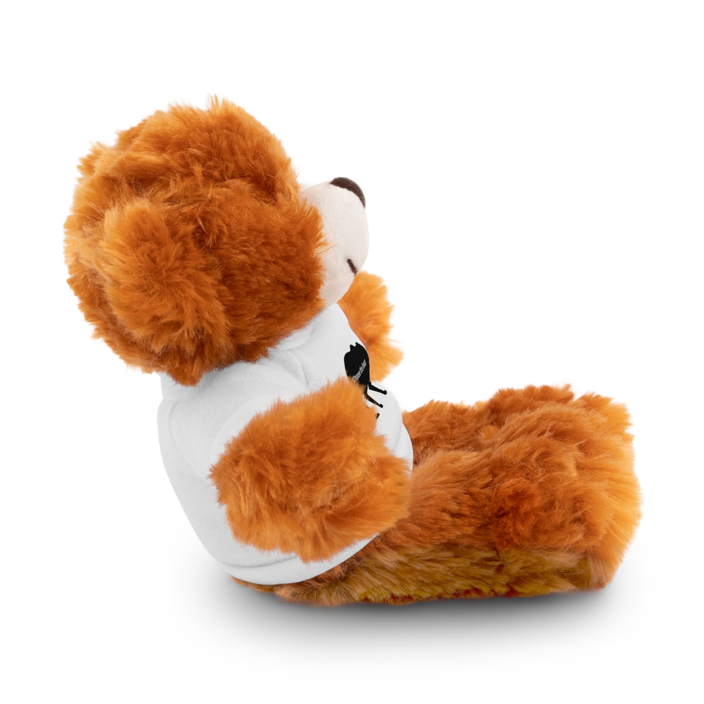 Choose the Bear - Stuffed Animals with Tee