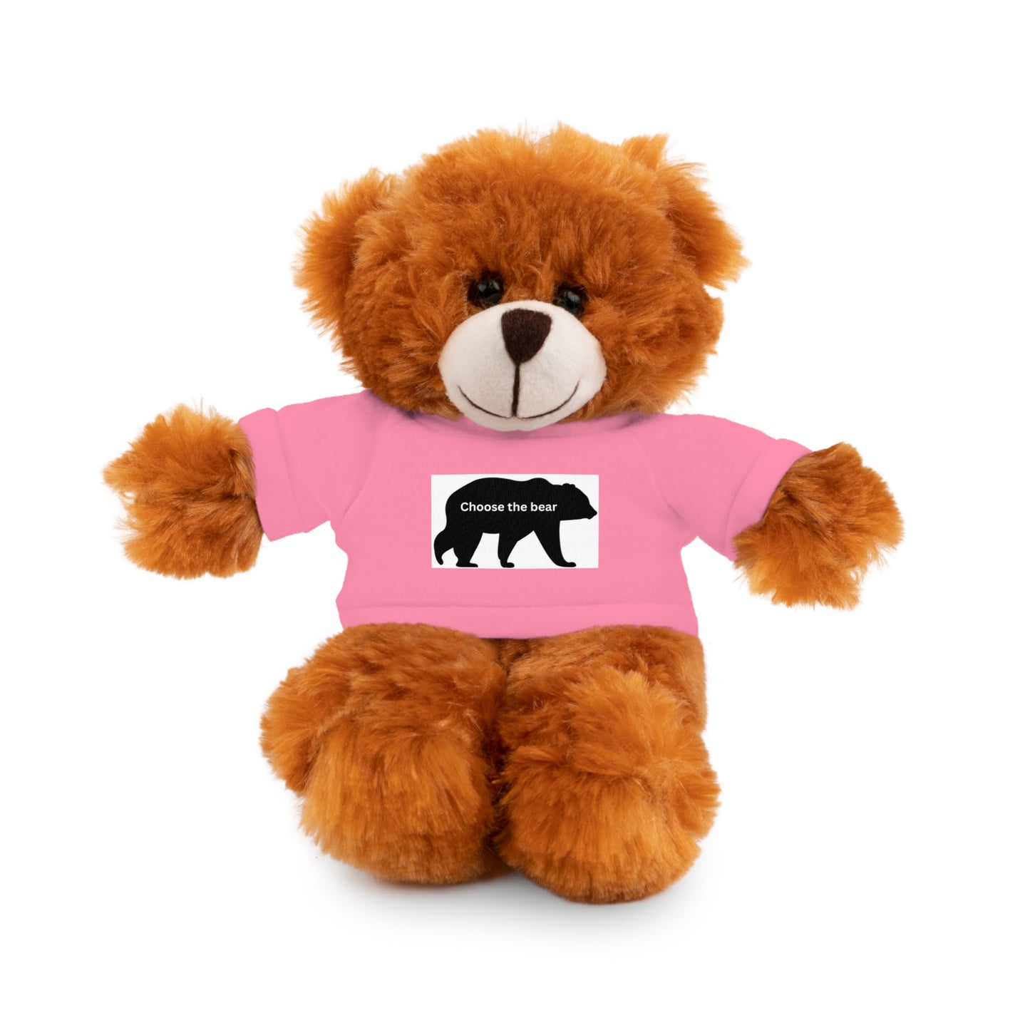 Choose the Bear - Stuffed Animals with Tee