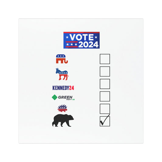 Bear- Vote for the Bear - Car Magnets