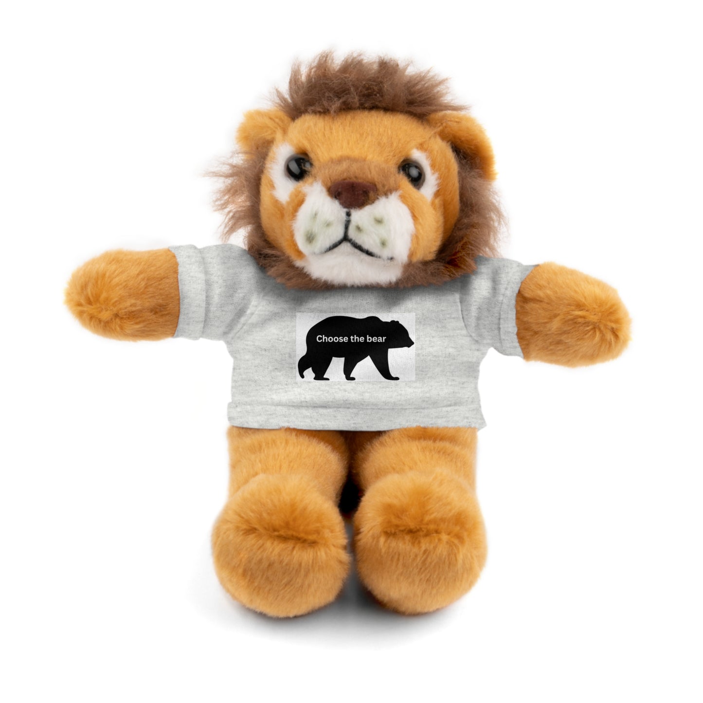 Choose the Bear - Stuffed Animals with Tee