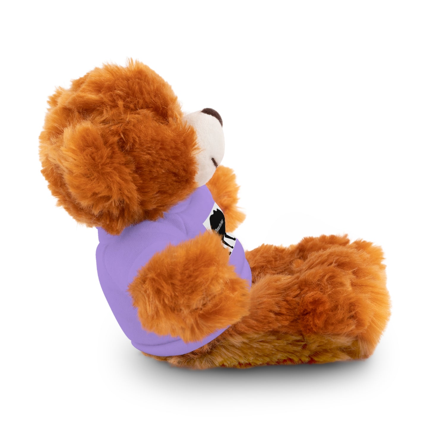 Choose the Bear - Stuffed Animals with Tee