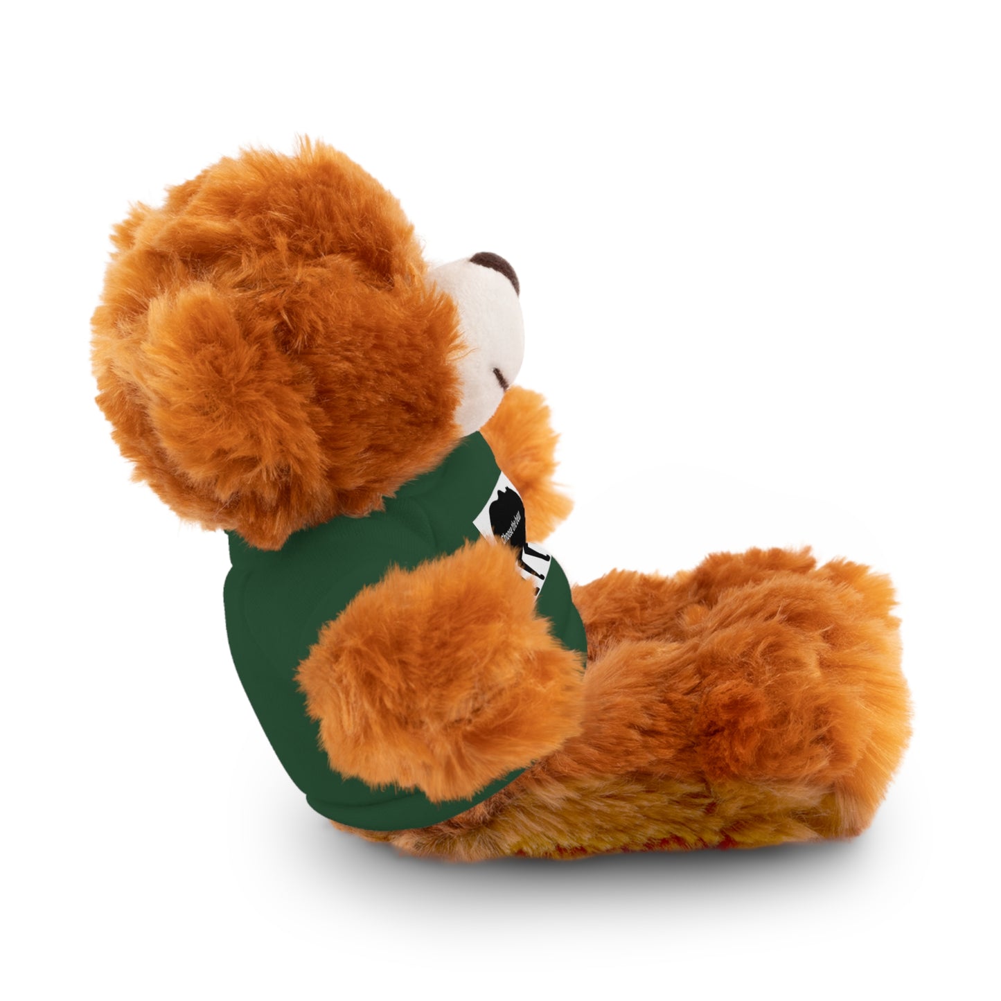 Choose the Bear - Stuffed Animals with Tee