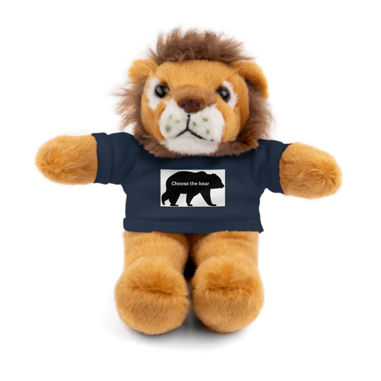 Choose the Bear - Stuffed Animals with Tee