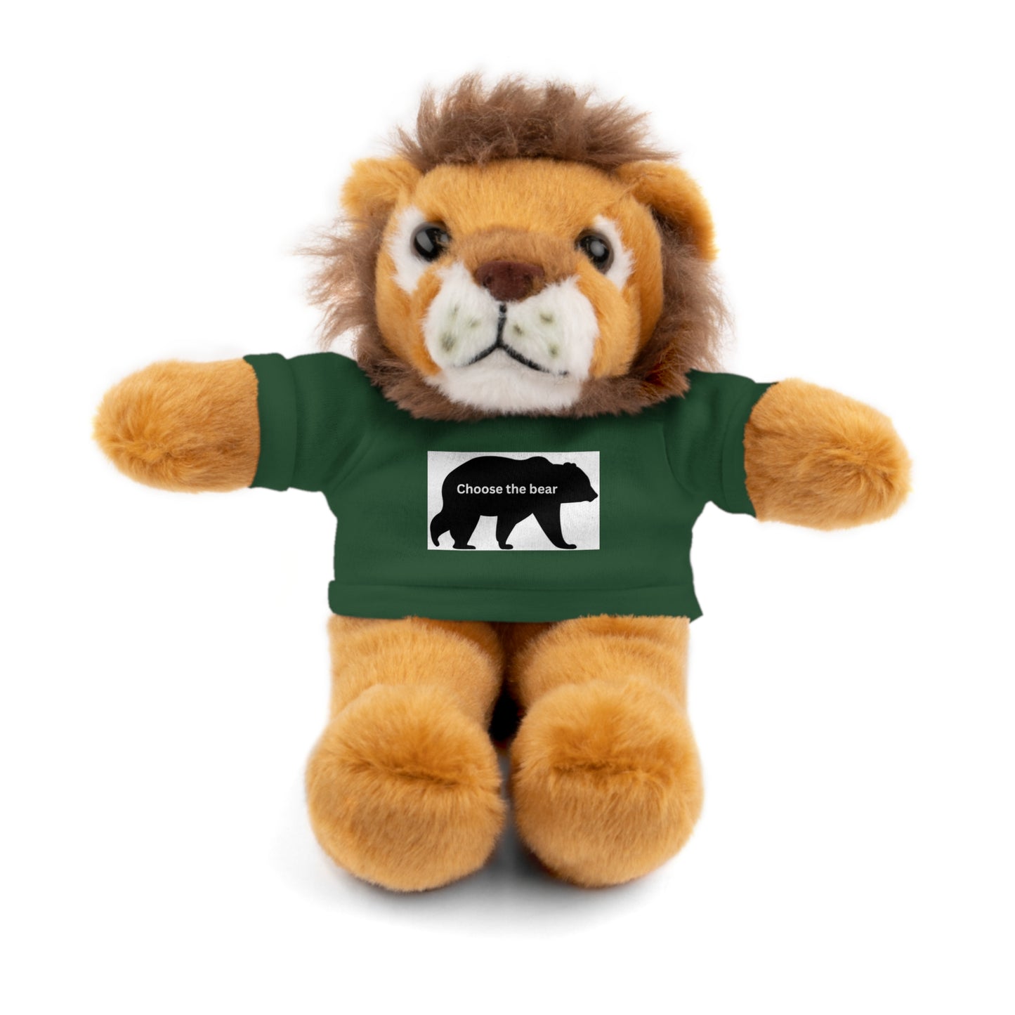 Choose the Bear - Stuffed Animals with Tee