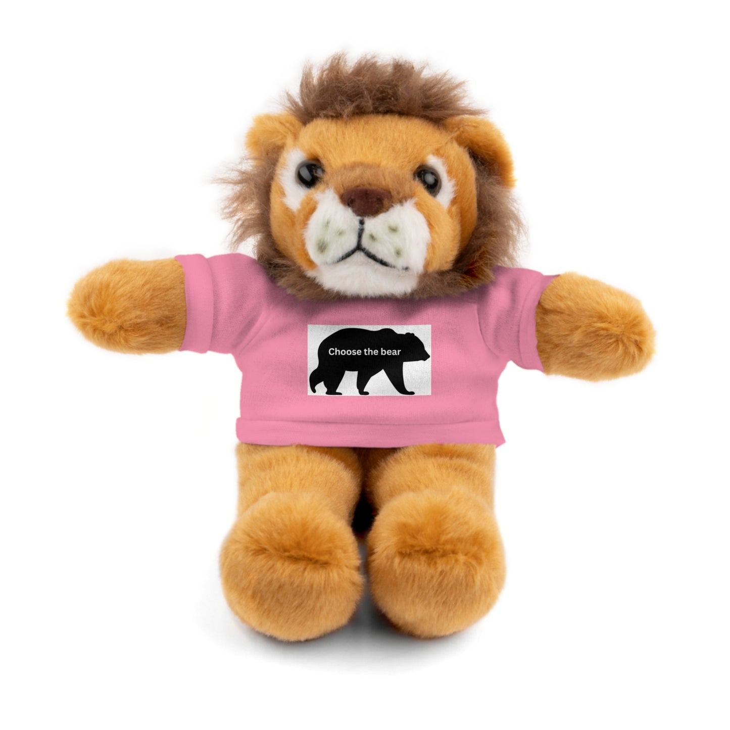 Choose the Bear - Stuffed Animals with Tee