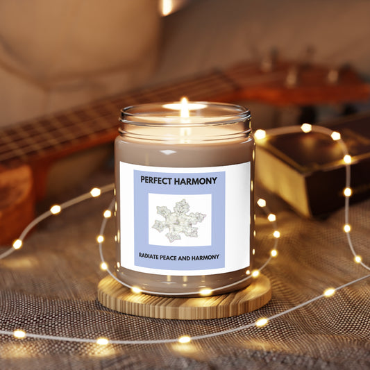 PERFECT HARMONY - RADIATE PEACE AND HARMONY - Scented Candles, 9oz