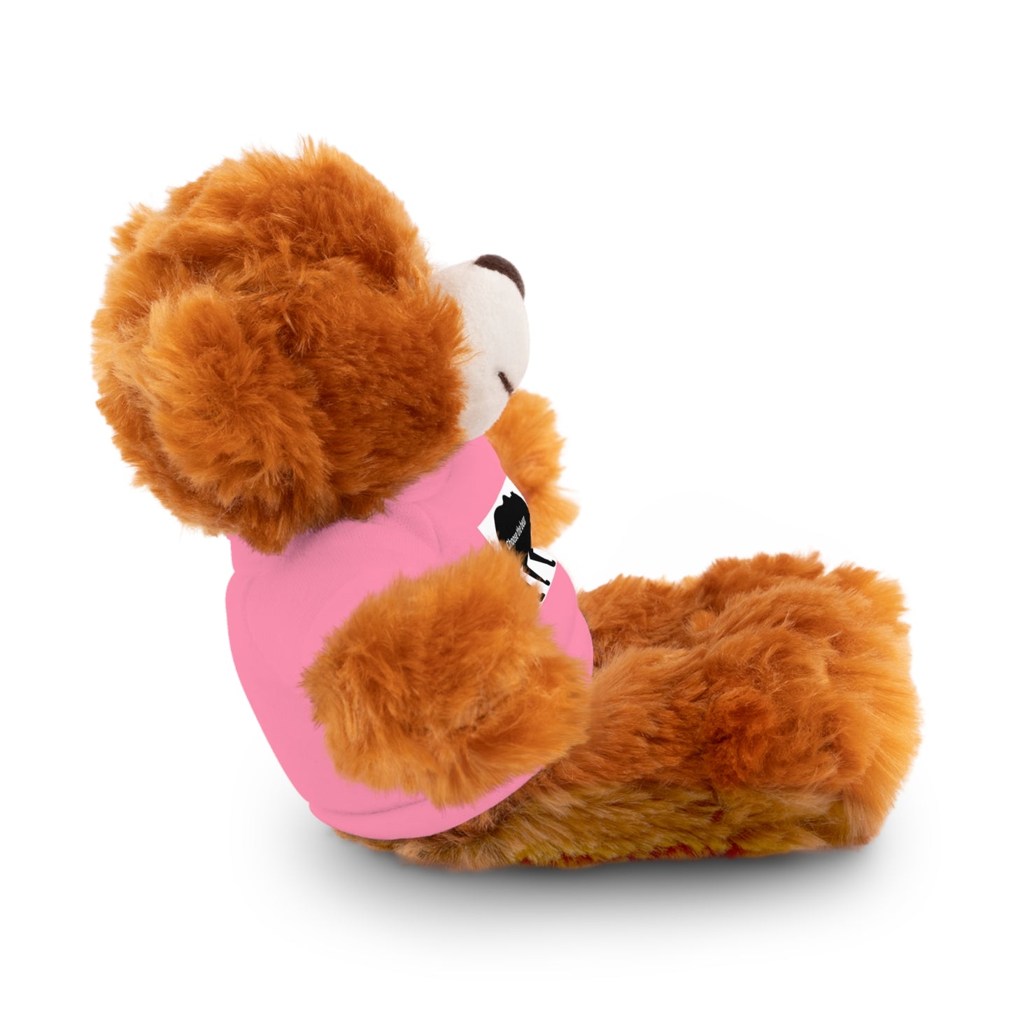 Choose the Bear - Stuffed Animals with Tee